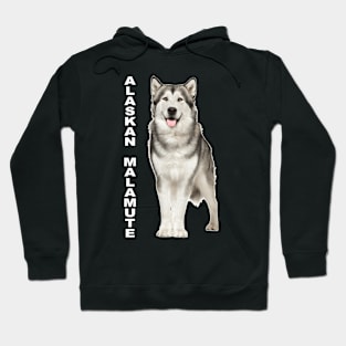 Alaskan Malamute Hoodie